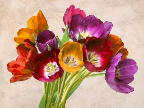 Tulipani danzanti Black Ornate Wood Framed Art Print with Double Matting by Rizzardi, Teo