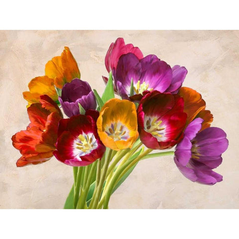 Tulipani danzanti Black Modern Wood Framed Art Print by Rizzardi, Teo