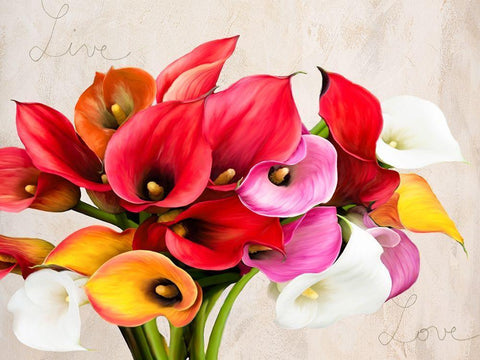 Live and Love White Modern Wood Framed Art Print with Double Matting by Rizzardi, Teo