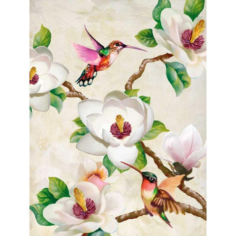 Magnolia and Humming Birds Black Modern Wood Framed Art Print with Double Matting by Wang, Terry