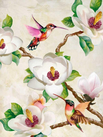 Magnolia and Humming Birds White Modern Wood Framed Art Print with Double Matting by Wang, Terry