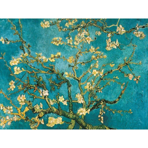 Mandorlo in fiore White Modern Wood Framed Art Print by Van Gogh, Vincent