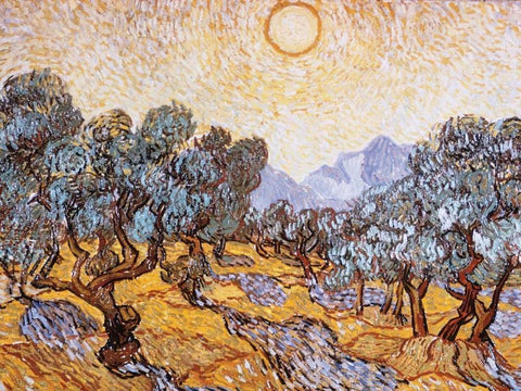 The Olive Trees Black Ornate Wood Framed Art Print with Double Matting by Van Gogh, Vincent