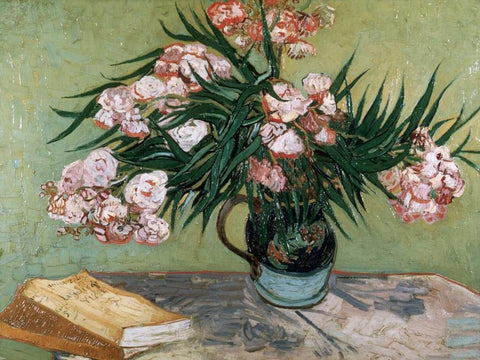 Vase with Oleanders and Books White Modern Wood Framed Art Print with Double Matting by van Gogh, Vincent