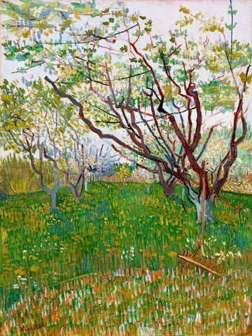 The Flowering Orchard White Modern Wood Framed Art Print with Double Matting by van Gogh, Vincent