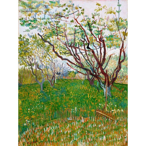 The Flowering Orchard White Modern Wood Framed Art Print by van Gogh, Vincent