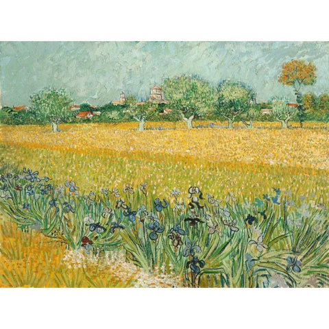 Field with Irises near Arles Black Modern Wood Framed Art Print with Double Matting by Van Gogh, Vincent