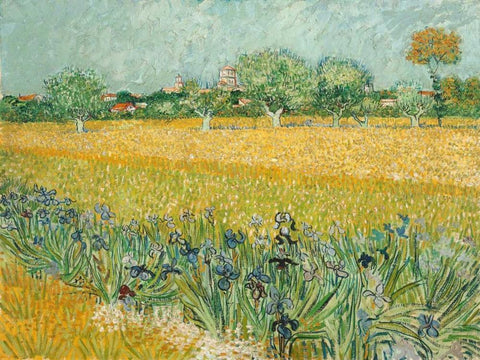 Field with Irises near Arles Black Ornate Wood Framed Art Print with Double Matting by Van Gogh, Vincent