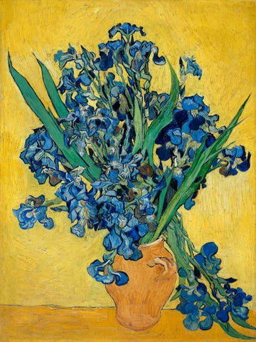 Irises White Modern Wood Framed Art Print with Double Matting by Van Gogh, Vincent