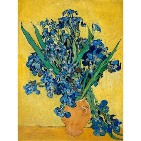 Irises White Modern Wood Framed Art Print by Van Gogh, Vincent