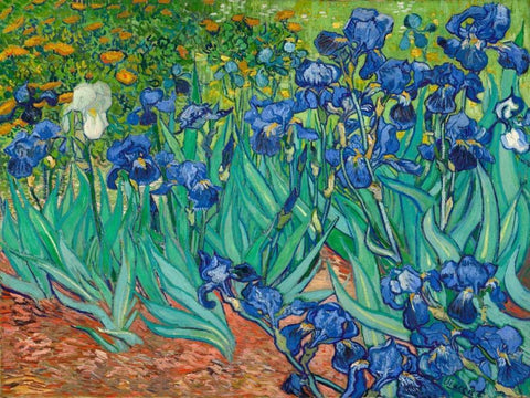 Irises Black Ornate Wood Framed Art Print with Double Matting by Van Gogh, Vincent