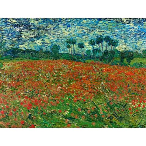 Poppy field White Modern Wood Framed Art Print by Van Gogh, Vincent