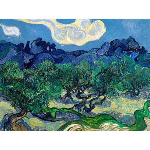 The Olive Trees Black Modern Wood Framed Art Print with Double Matting by Van Gogh, Vincent