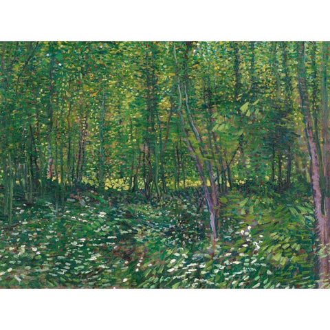 Trees and undergrowth White Modern Wood Framed Art Print by van Gogh, Vincent