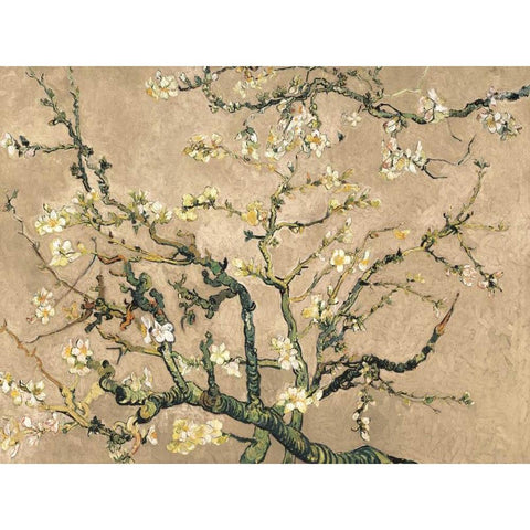 Mandorlo in fiore (beige variation) White Modern Wood Framed Art Print by Van Gogh, Vincent