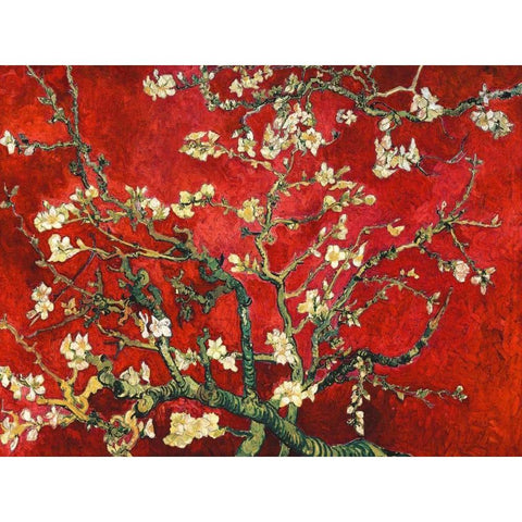 Mandorlo in fiore (red variation) White Modern Wood Framed Art Print by Van Gogh, Vincent