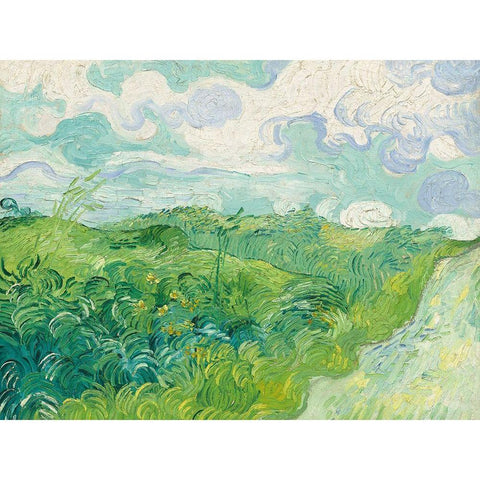 Green Wheat Fields, Auvers Black Modern Wood Framed Art Print with Double Matting by Vincent, van Gogh