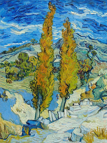 The Poplars at Saint-Remy White Modern Wood Framed Art Print with Double Matting by van Gogh, Vincent