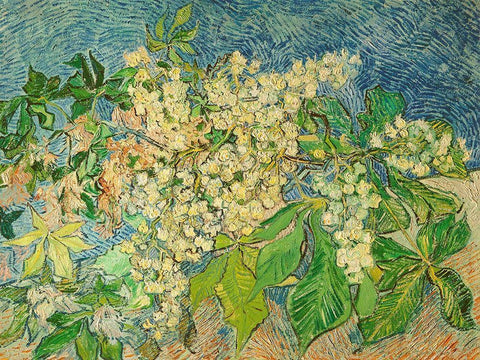 Blossoming Chestnut Branch White Modern Wood Framed Art Print with Double Matting by van Gogh, Vincent