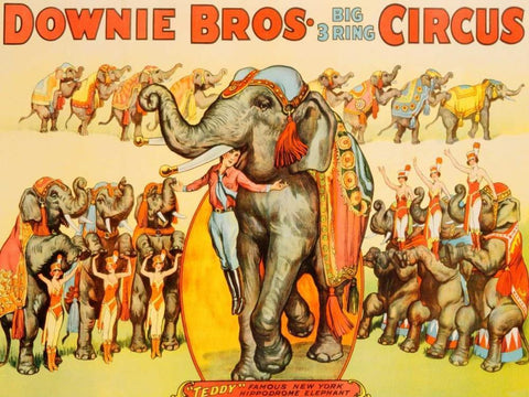 Downie Bros. Big 3 Ring Circus 1935 White Modern Wood Framed Art Print with Double Matting by Anonymous