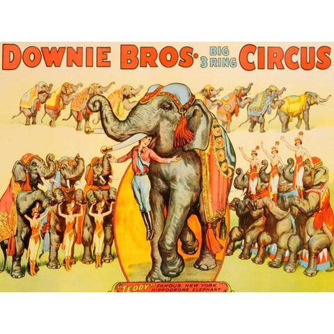 Downie Bros. Big 3 Ring Circus 1935 Black Modern Wood Framed Art Print by Anonymous