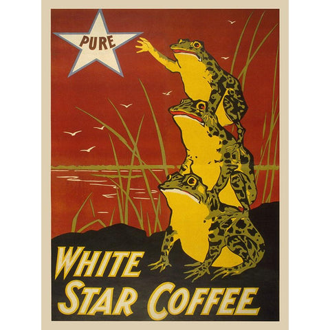 White Star Coffee, 1899 White Modern Wood Framed Art Print by Anonymous