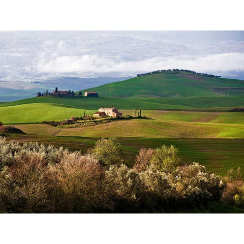 Tuscan Countryside Gold Ornate Wood Framed Art Print with Double Matting by Ratsenskiy, Vadim
