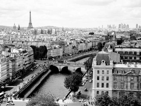 View of Paris and Seine river Black Ornate Wood Framed Art Print with Double Matting by Ratsenskiy, Vadim