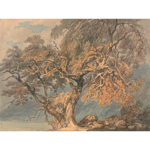 A Great Tree Gold Ornate Wood Framed Art Print with Double Matting by Turner, William