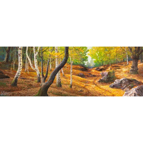 Sentiero nel bosco White Modern Wood Framed Art Print by Galasso, Adriano