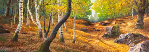 Sentiero nel bosco White Modern Wood Framed Art Print with Double Matting by Galasso, Adriano