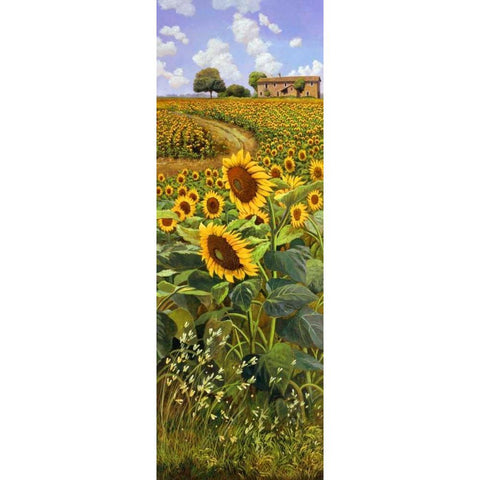 Collina toscana Black Modern Wood Framed Art Print with Double Matting by Del Missier, Andrea