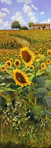 Collina toscana Black Ornate Wood Framed Art Print with Double Matting by Del Missier, Andrea