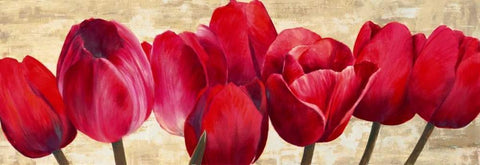 Red Tulips Black Ornate Wood Framed Art Print with Double Matting by Ann, Cynthia