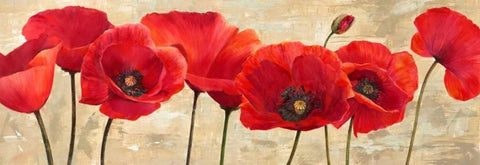Red Poppies Black Ornate Wood Framed Art Print with Double Matting by Ann, Cynthia