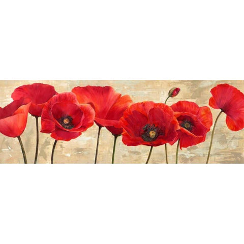 Red Poppies Black Modern Wood Framed Art Print by Ann, Cynthia