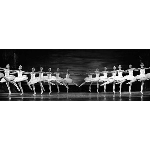 Swan Lake ballet White Modern Wood Framed Art Print by Anonymous