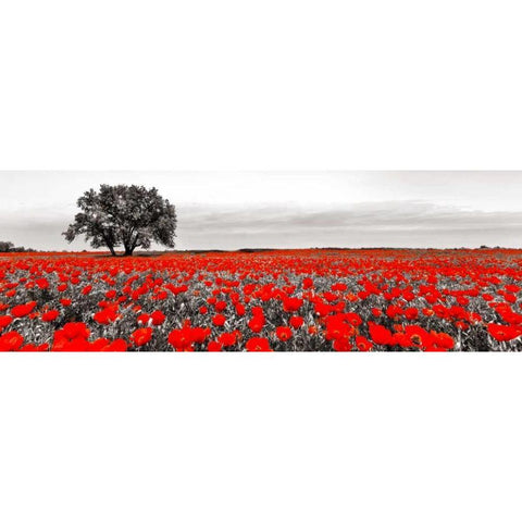 Tree in a poppy field White Modern Wood Framed Art Print by Anonymous