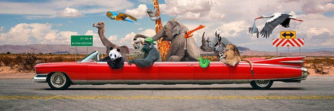 Road Trip White Modern Wood Framed Art Print with Double Matting by VizLab