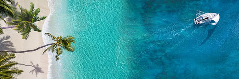 Sailing Away Black Ornate Wood Framed Art Print with Double Matting by Pangea Images