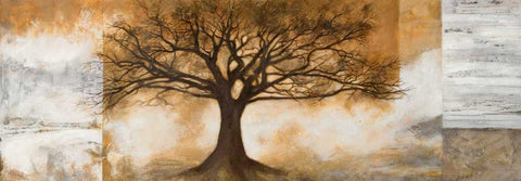 Naturalia White Modern Wood Framed Art Print with Double Matting by Bacci, Leonardo