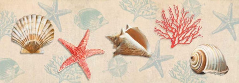 Gifts from the Ocean White Modern Wood Framed Art Print with Double Matting by Broome, Ted