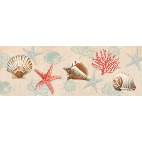 Gifts from the Ocean Black Modern Wood Framed Art Print with Double Matting by Broome, Ted