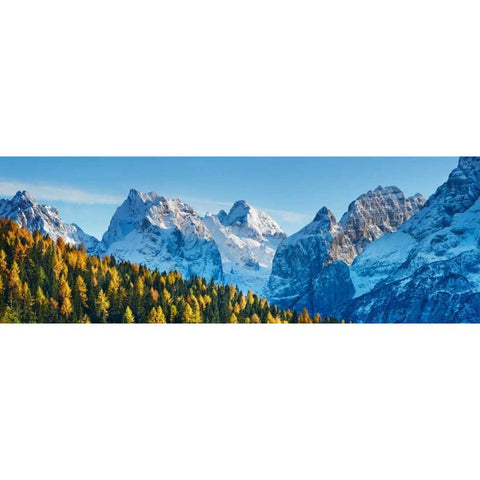 Larch forest and Cima bel Pra, Italy Black Modern Wood Framed Art Print with Double Matting by Krahmer, Frank