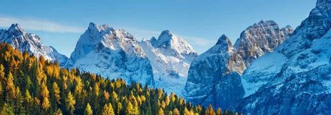 Larch forest and Cima bel Pra, Italy White Modern Wood Framed Art Print with Double Matting by Krahmer, Frank