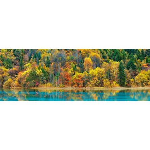 Lake and forest in autumn, China Black Modern Wood Framed Art Print with Double Matting by Krahmer, Frank