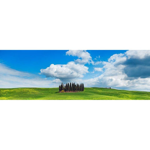Cypresses- Val dOrcia- Tuscany Black Modern Wood Framed Art Print with Double Matting by Krahmer, Frank