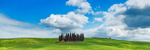 Cypresses- Val dOrcia- Tuscany White Modern Wood Framed Art Print with Double Matting by Krahmer, Frank