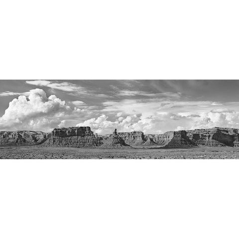 Valley Of The Gods- Utah- USA (BW) Gold Ornate Wood Framed Art Print with Double Matting by Krahmer, Frank