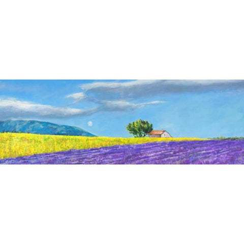 Campi di lavanda Black Modern Wood Framed Art Print with Double Matting by Germani, Massimo